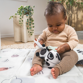 Musical Smart Toy Panda
