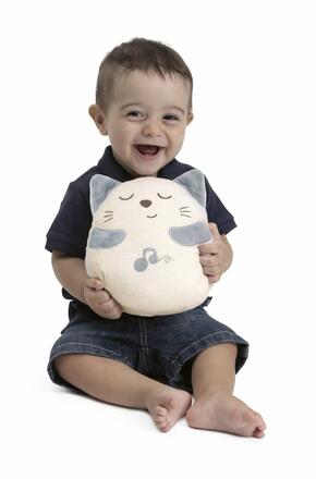 Gatinho Ron Ron