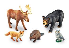 Animais do Bosque