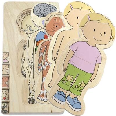 Puzzle Do Corpo Humano Ao Esqueleto - Menina