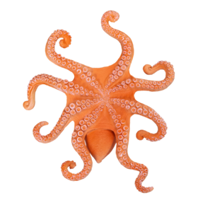 Polvo