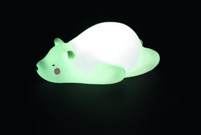 Luz noturna