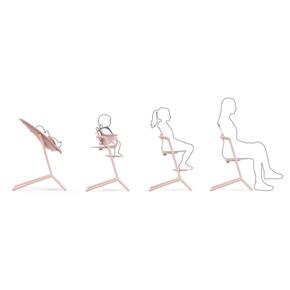 Cadeira Lemo 4 em 1 - Cybex