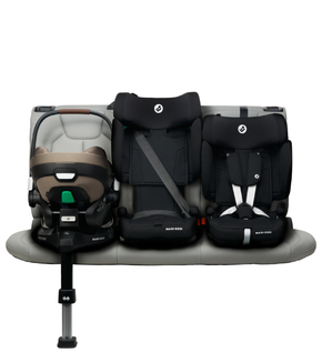 Nomad XL Plus
