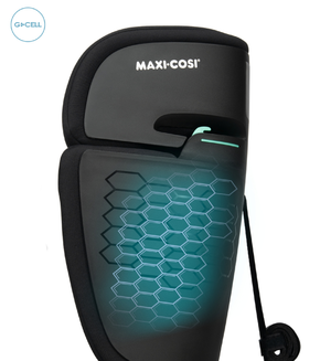 Nomad XL Plus