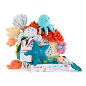 Bolinha sensorial