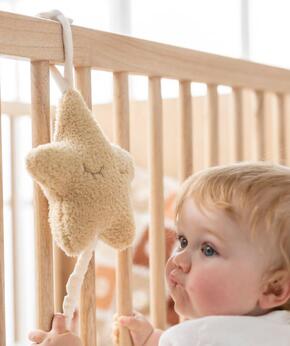 Estrela Musical Teddy