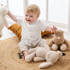 Coelho Teddy
