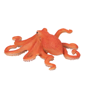 Polvo