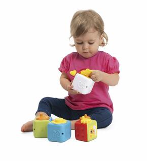 Cubo Multiatividades