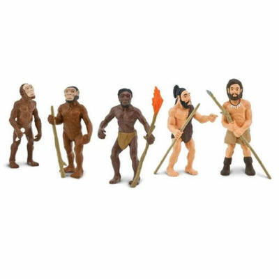 A evolução do homem