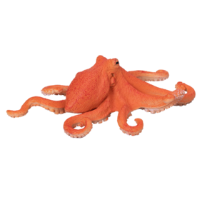 Polvo