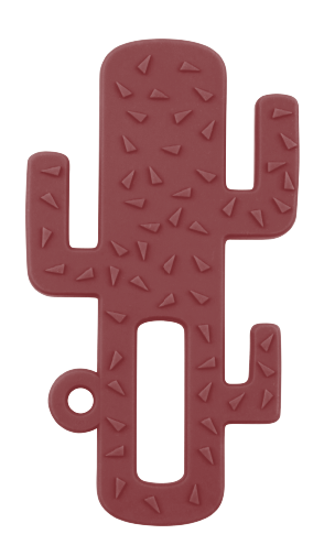 Mordedor Silicone Cactus - Minikoioi