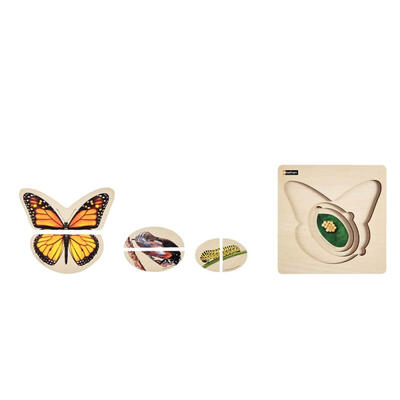 Puzzle - Ciclo De Vida - Borboleta