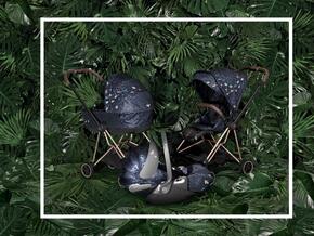 Nova Alcofa LUX Priam - Jewels of Nature