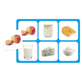 Os Alimentos - Maxiloto
