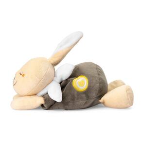 Peluche coelhinho quentinho