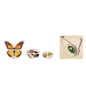 Puzzle - Ciclo De Vida - Borboleta