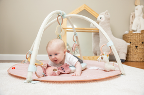 Unicorn Wonderlands Developmental Gymini®