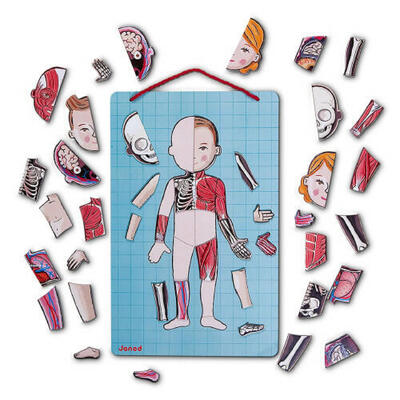 Magnetibook O Corpo Humano