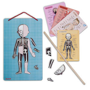Magnetibook O Corpo Humano