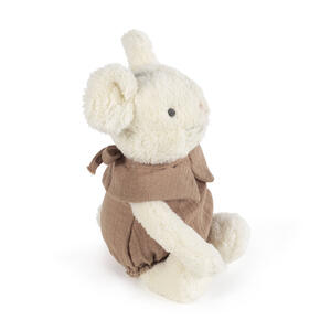 Rato Papoula 