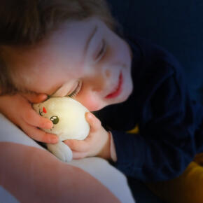 Mini Peluche Foca Luminoso 