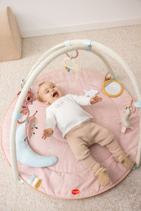 Unicorn Wonderlands Developmental Gymini®