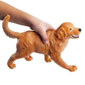 Animais De Estimação