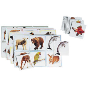 Maxiloto Animais 